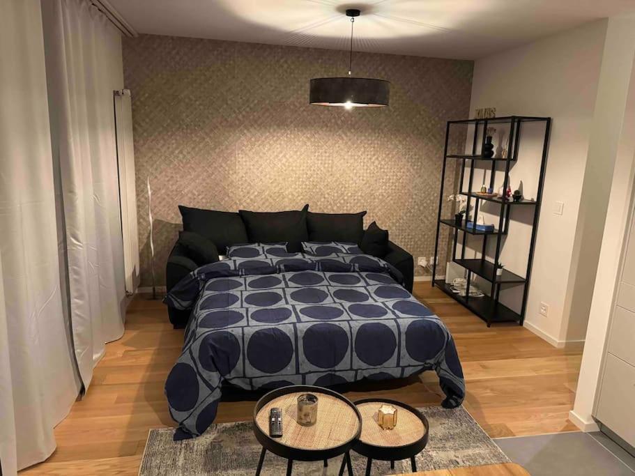 Charmant Studio Ženeva Exteriér fotografie
